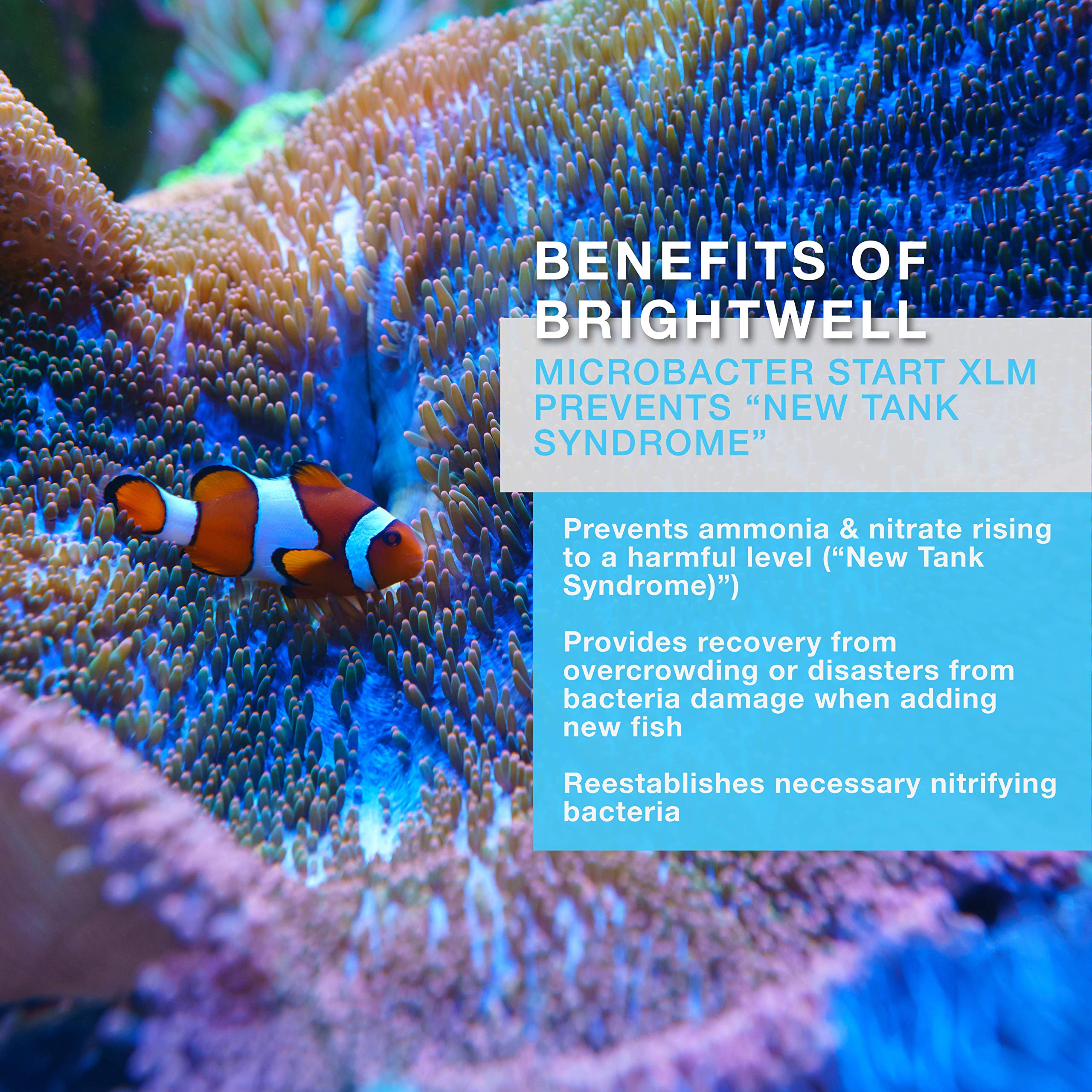 BRIGHTWELL MicroBacter Start XLM -500ml - Image 4